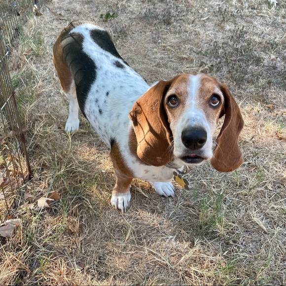 Hello friends! - Picture 11 of 16